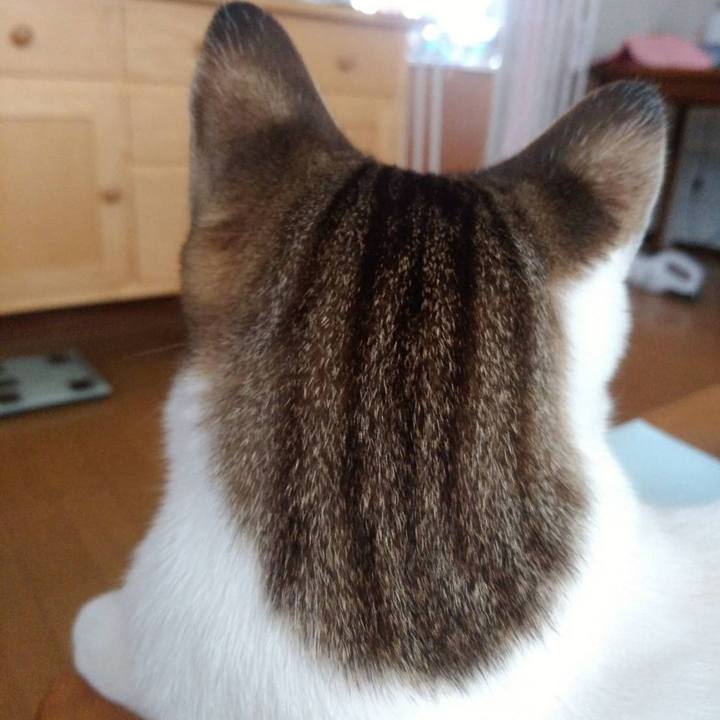 D73bf56a bcbc 4226 885b df1b386a27ac 1690948427009