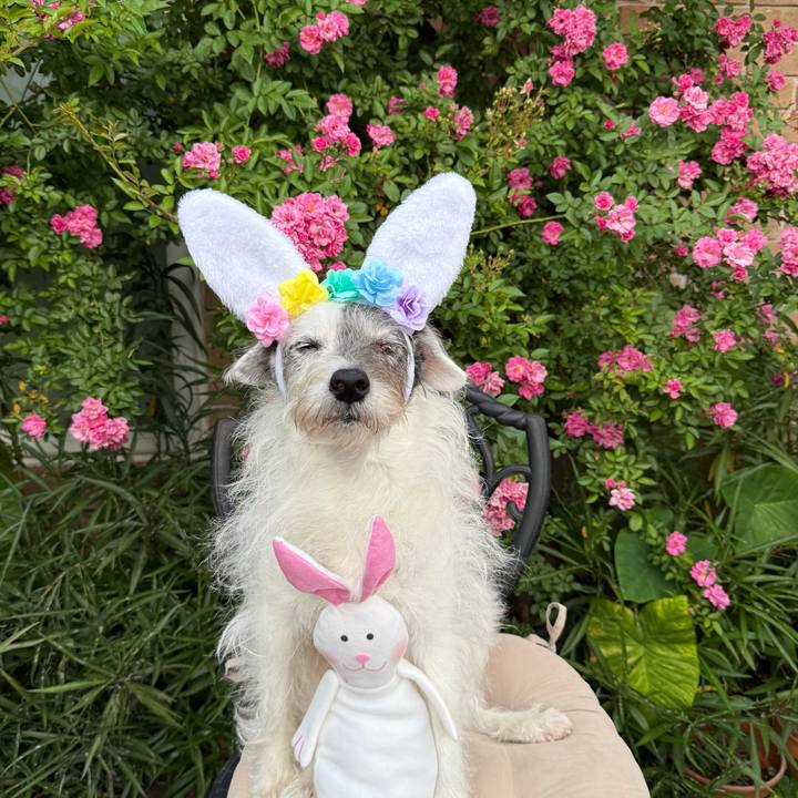 D73c1f36 a98d 452b babc 0dbbd690d2bb 1775340905749