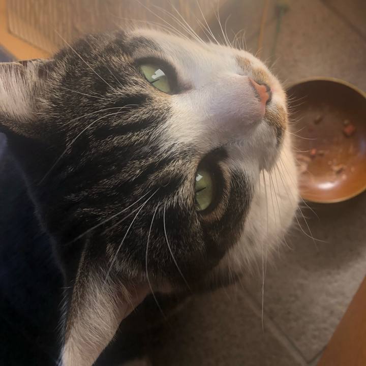 D73c2e75 e54d 46aa bf93 a4f7646e8422 1548666068796