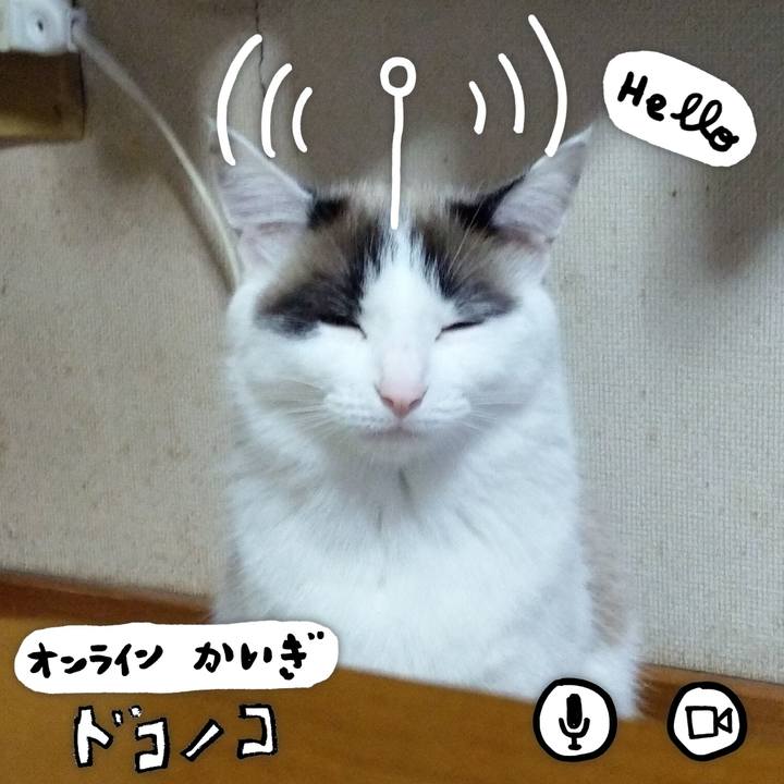 D73c3401 831e 4f9b ac10 0c35dcdcc9e4 1590905303118