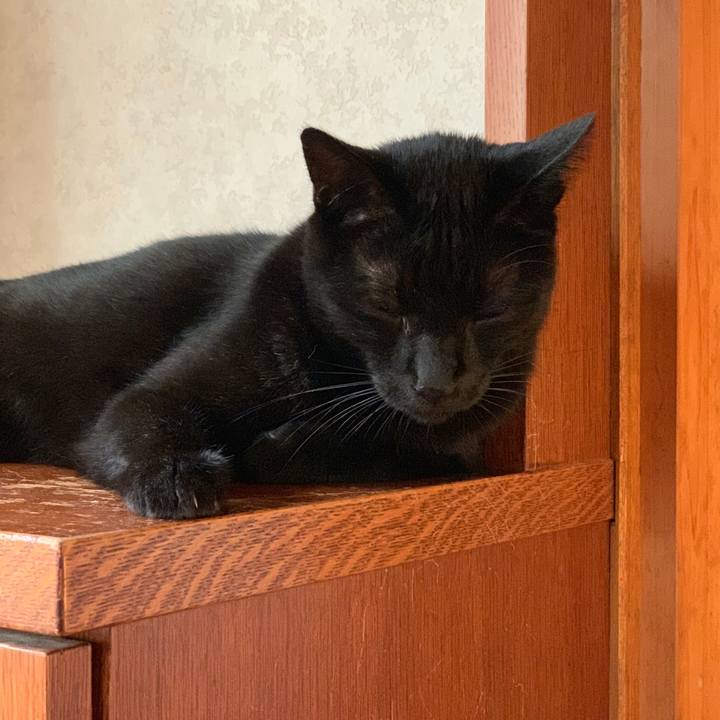 D73c4b1b 704b 4a43 9532 ae1aba9057e8 1569203242652