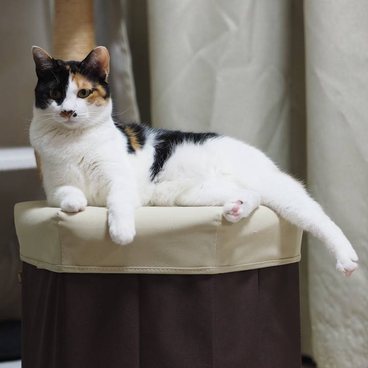 D73c5456 07c7 4d9e a32d c45bbb7f298c 1523403557198