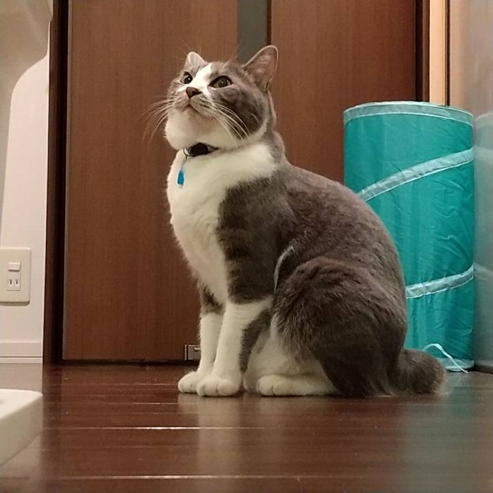 D73c5bb7 bae3 4fa5 b8f0 369528f05aa4 1609886069812