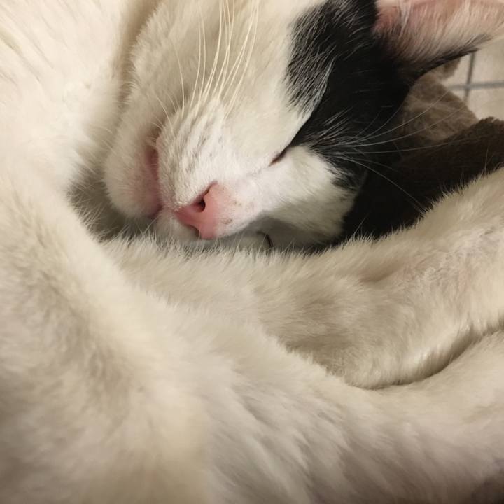 D73c5bcc 303c 436c b02e 6c72a8c26365 1578748783039