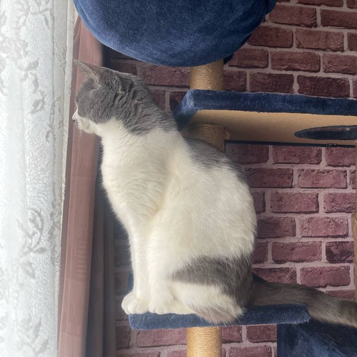 D73c88cf bac1 4e08 8a82 776ba5834680 1748477103240