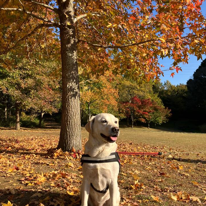 D73cbf6f a0a8 4b3c 9e9a 57a2d6742f60 1668063411727