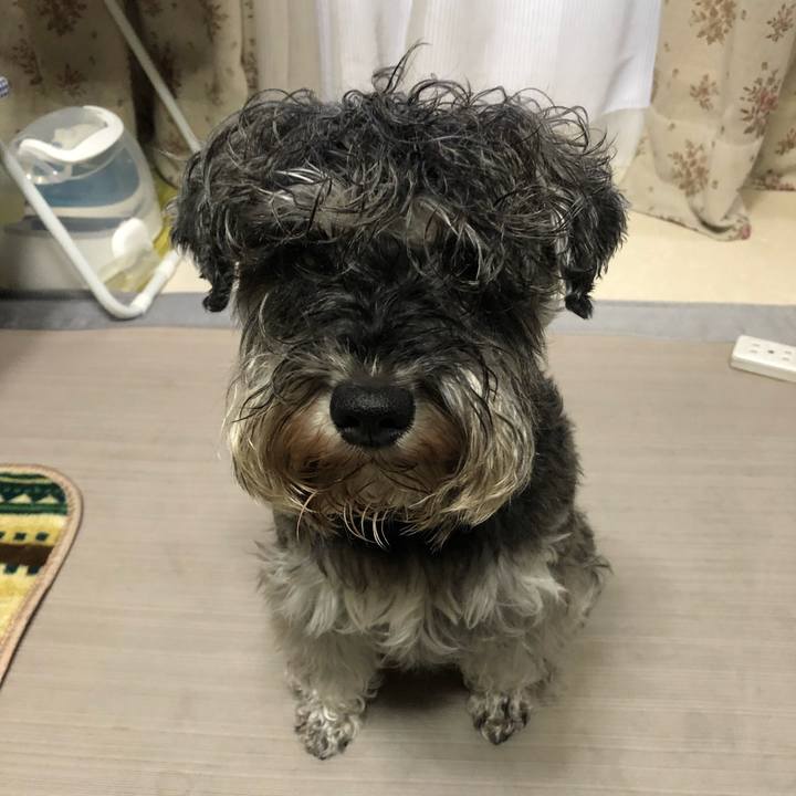 D73cd1c3 72f4 43dc 8563 afe022c02b6d 1613477109561