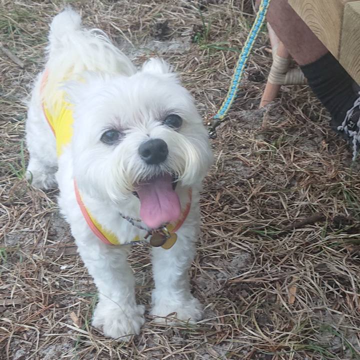 D73cd956 75f1 47c8 872b 490f3460e8e2 1659142777990