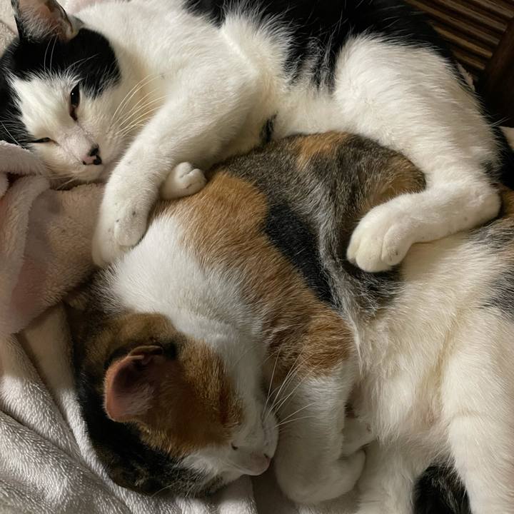 D73cefcc 446e 47b4 aa77 43e846a4381b 1635804641855