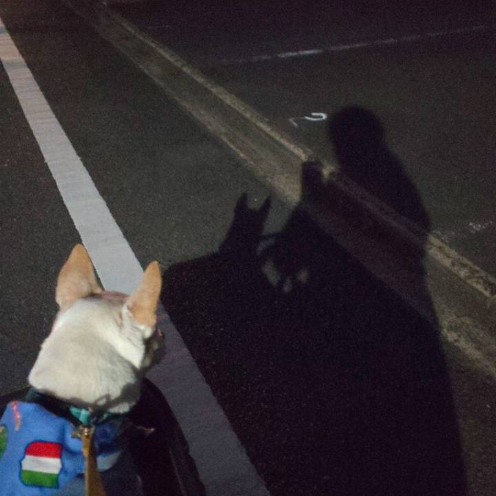 D73d1324 a99a 4b66 93a5 b3a3ab60fa58 1542788715464