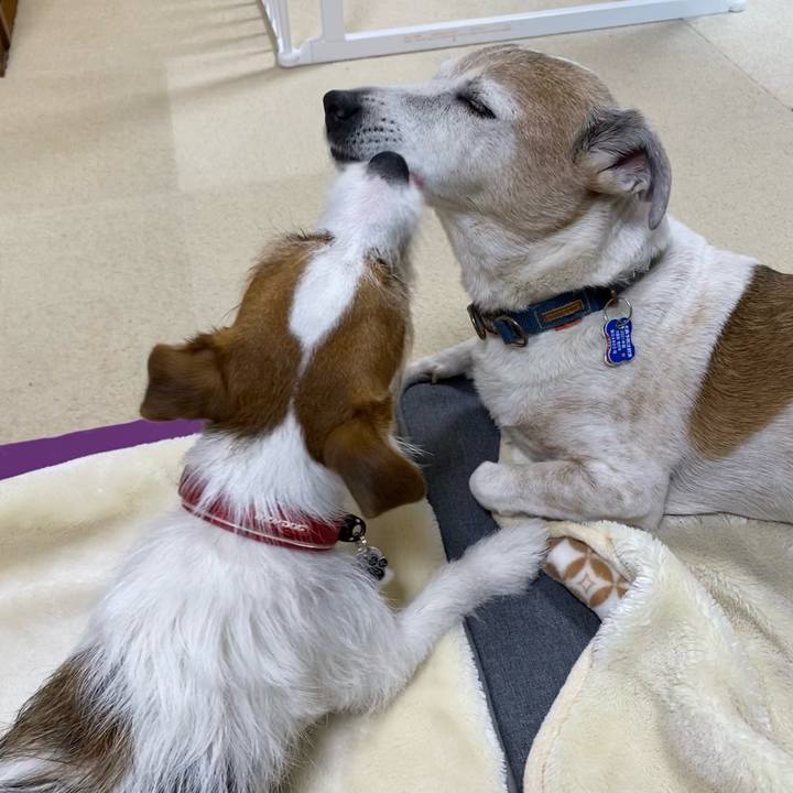 D73d3854 dba9 4f1e a7dc 54247ebbc983 1642939634316