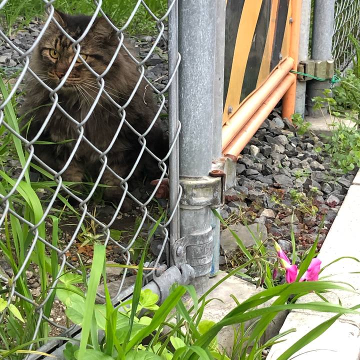 D73d4b2b d5d9 4bc9 9f4b 5ad27c6cfc3a 1543420818231