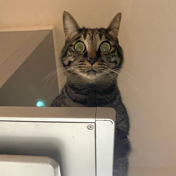 D73d8b69 92c9 415a 96c9 0be15e68ebcf 1674904474863