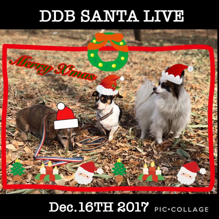 D73dae8a df78 41a8 968c f20876577966 1513419629527