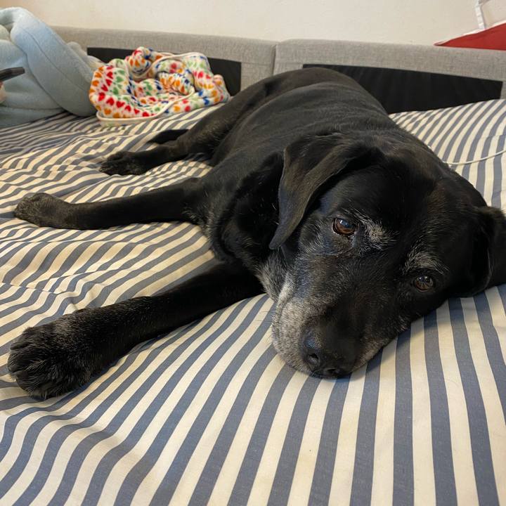 D73dc8e6 3323 4baa 99ef 22bbb4f66ac2 1643116578651