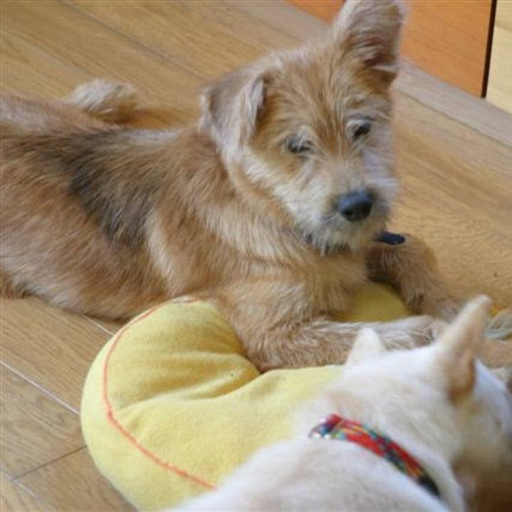 D73dd882 50f3 4216 9d5c 36dcd7eeadbf 1646299933430