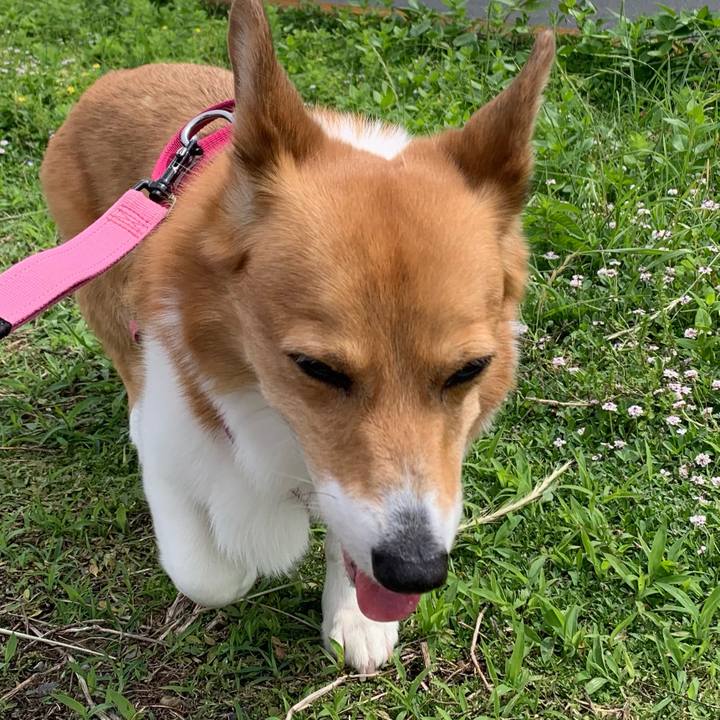 D73ddb19 d980 4974 bfc2 4985fa75c333 1716427457923