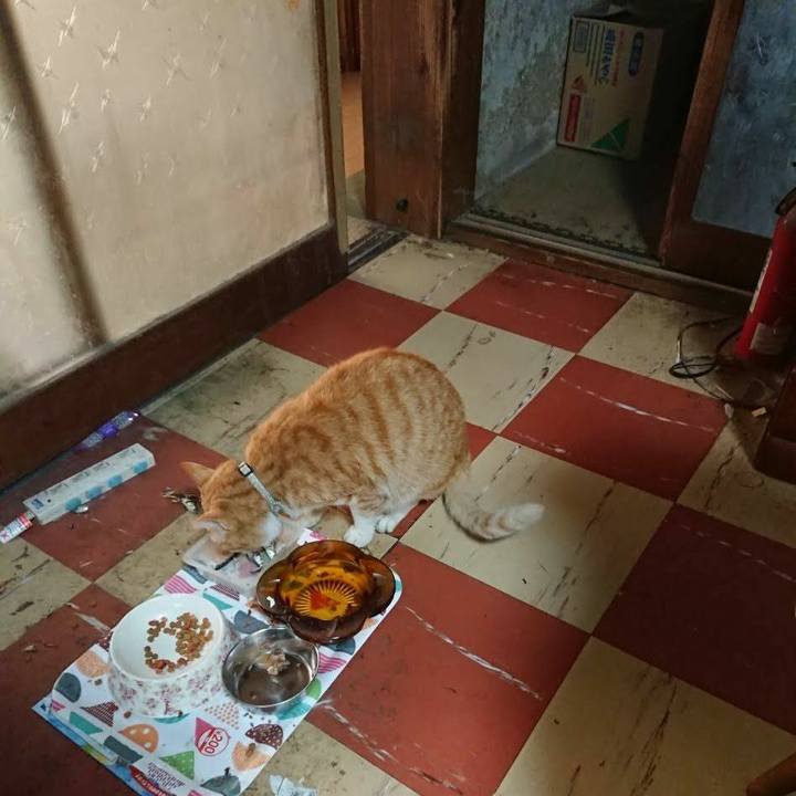 D73dfda5 0d59 472f a479 9a3dc614a707 1589315908337