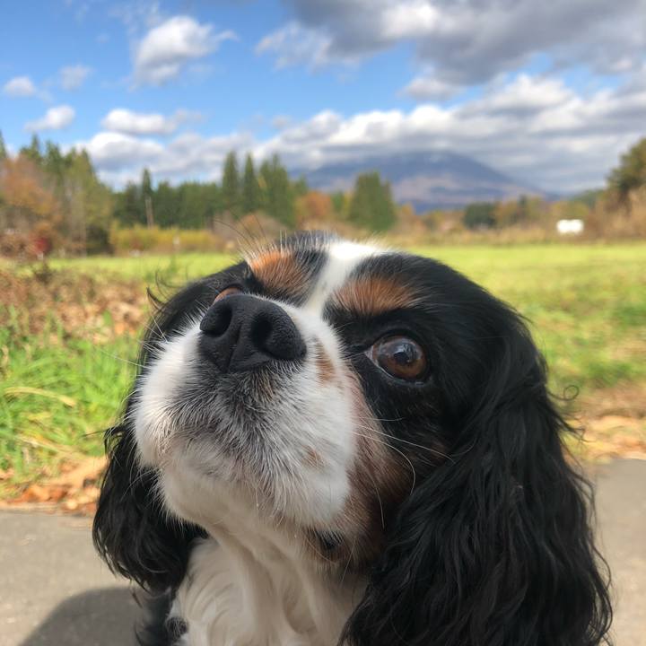 D73e7afa cfcb 44e0 8c36 61e9cf9ef3c4 1573009815769