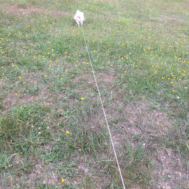 D73e93ef e415 46b4 ab44 710c48481570 1563527121475