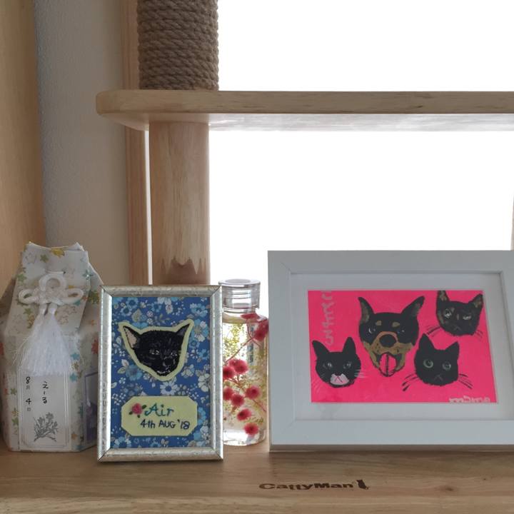 D73ea8e5 3a18 4a9a 8cca 46b6fdfdd67d 1533464428725