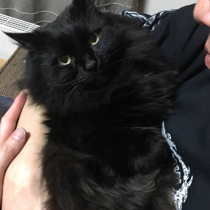 D73ef35d 3aa2 410c b6a5 60a8171419d9 1549393093513