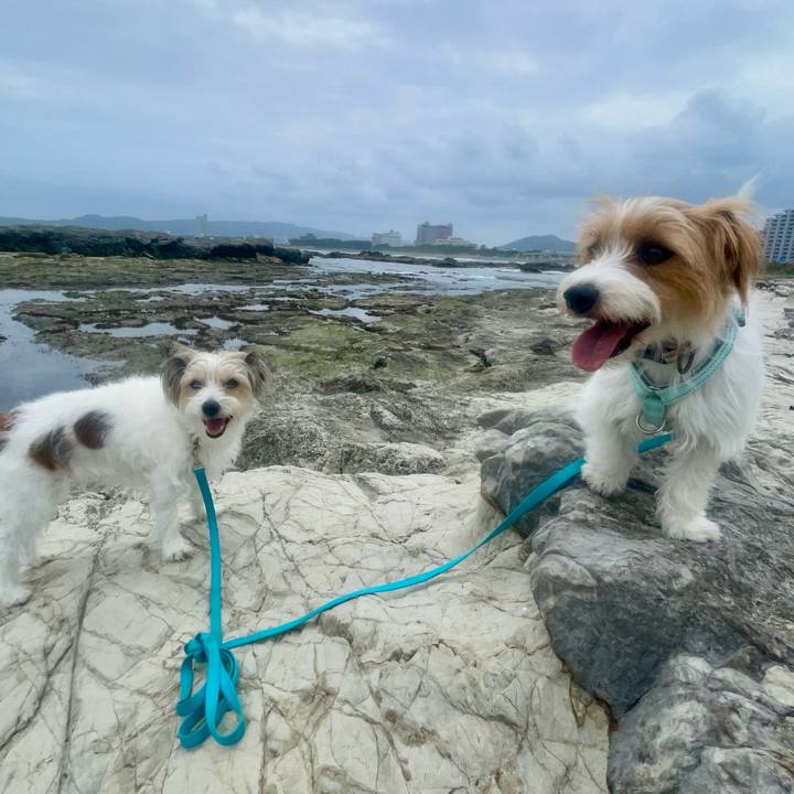 D73f1856 5708 42a7 aac8 928faf018fea 1776087212427