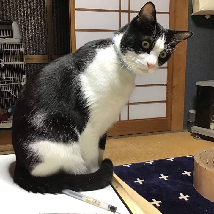 D73f2813 f856 4fa4 bd4d 327e0114d493 1737203008185