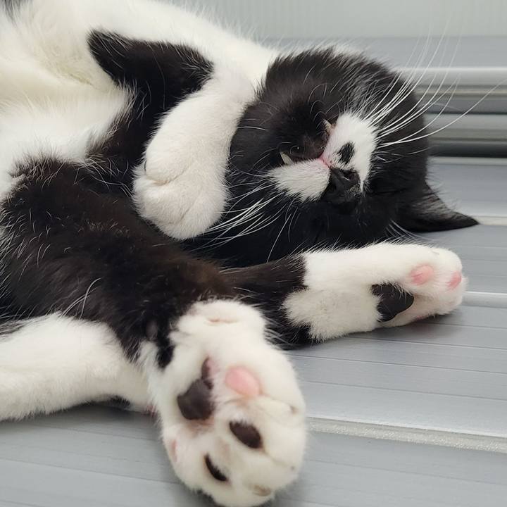 D73f375e 2994 4b88 b826 ccb2733255e3 1690630284482