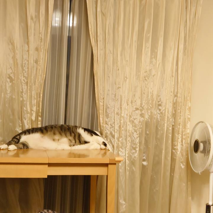 D73f3e5e f704 4b68 9037 df541e186f68 1591095912310