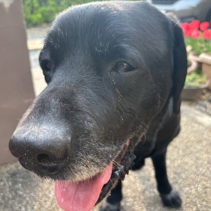 D73f9489 1910 4dbe b1df 1d823b490e12 1774956577649