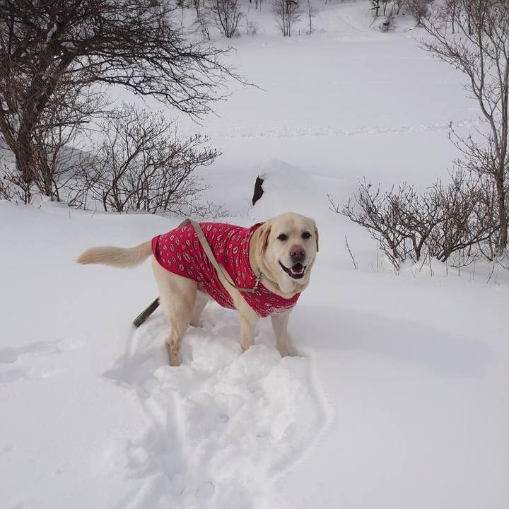 D73fa41c d729 41ad 8d9b 7f519c7cbed7 1644663208906