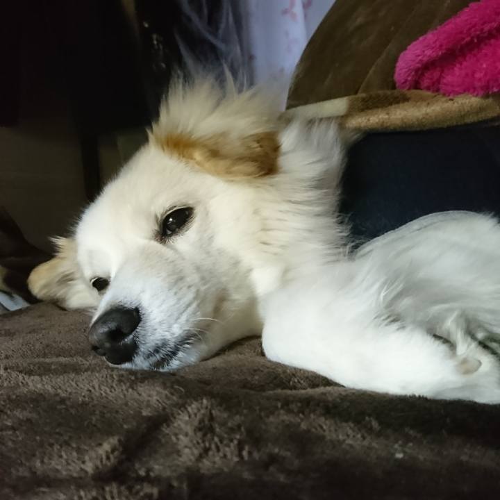 D73fb1f1 7e55 4ea0 b8a0 97baeb5e7926 1521319294781