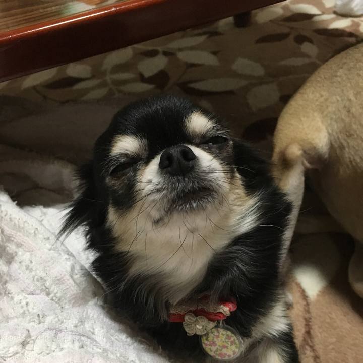 D73fb202 f296 40ca 83a7 75627d42c695 1511937310744