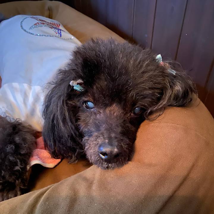 D73fc8ad e474 44b9 9624 70d42dc3ad6b 1605939400723