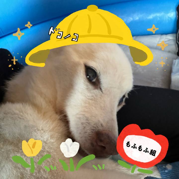 D73ff609 dde3 42a5 9726 56e32966ac90 1712235691154