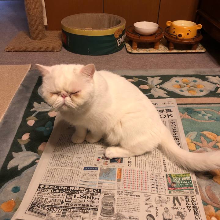 D7403c85 b3de 4f18 85a7 353c24364d48 1640430220475