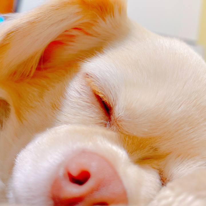 D740598a 10d5 47d7 a59f 019899838e1e 1639786994689