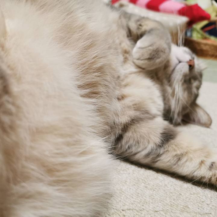 D7407c47 e110 46dc 83c5 04719f454be2 1671168725107