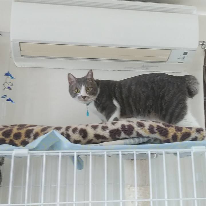 D740b050 6f20 4ac8 88a5 630a2fb8e86a 1588036522873