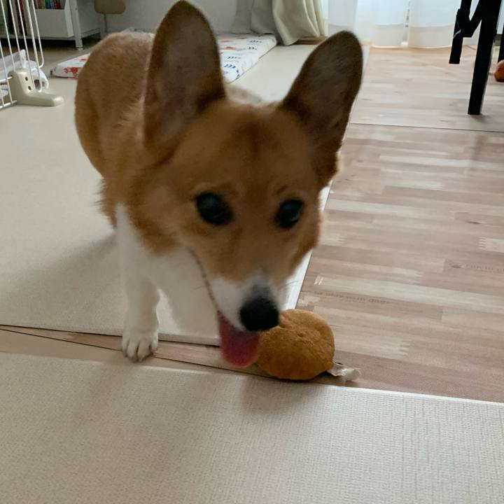 D740d4b7 8d49 4367 bd9b 7b4eeb922b91 1693881485496