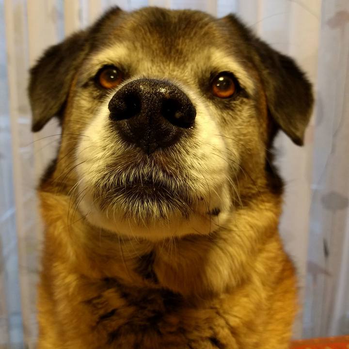 D740d9a7 76c6 4bd5 8096 1fba0d58e3c1 1555324515401