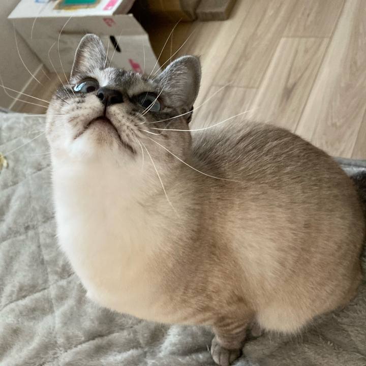 D740eb09 f87a 4d33 abbe 2ab7680ac129 1640608028018