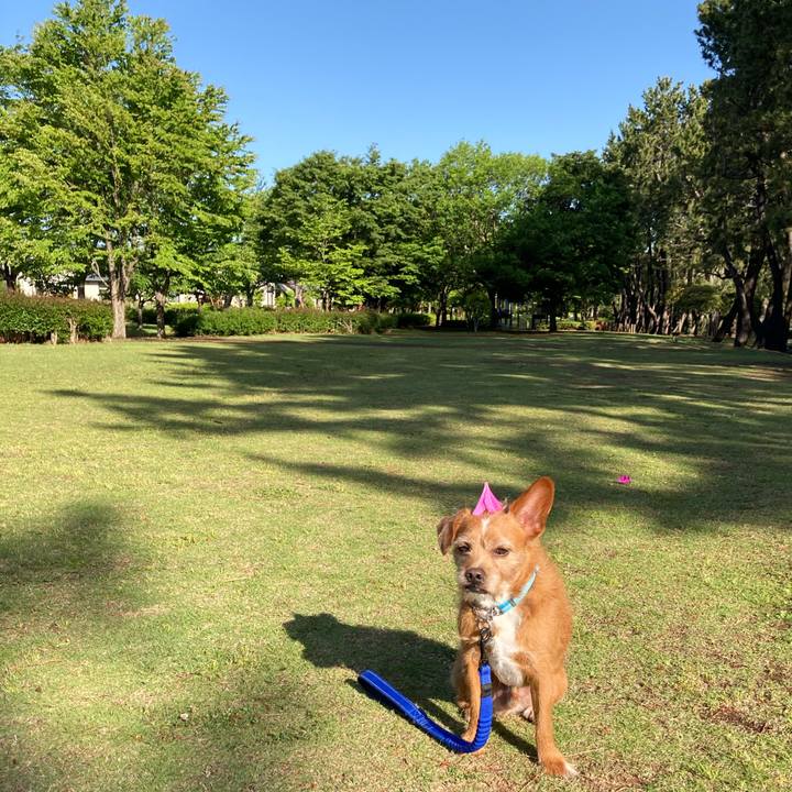 D740eb9a e436 46ec a63f b979aa09a806 1619741391138