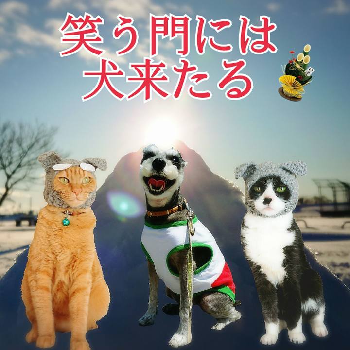 D740f4ce 59d2 4702 badd f18bddf10f01 1514733443875