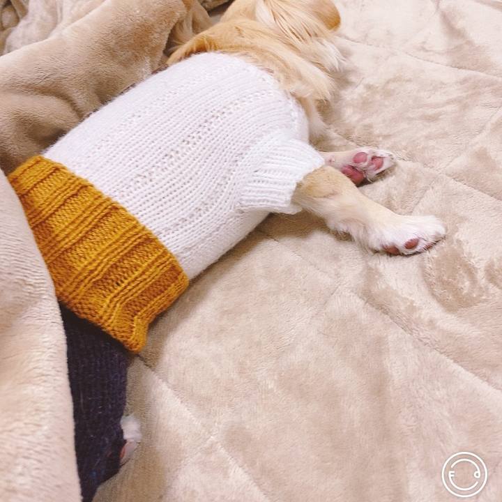 D740f698 a874 49c9 be24 e48c1a059aec 1617544137321