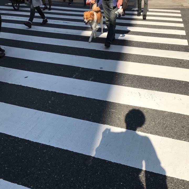 D74105a4 eb7d 44e3 80c3 eed3eefed7b2 1509076912139