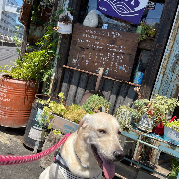 D7410b85 c8aa 4a08 be40 bbe5bab27ede 1628135837198