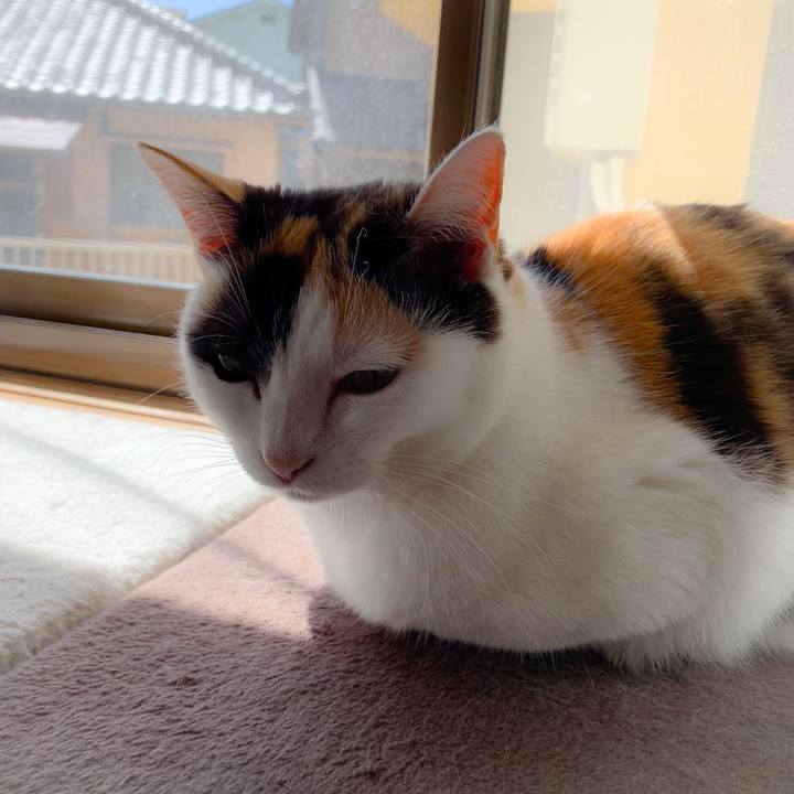 D741201f f355 47a6 b85c 9b40e3172408 1558489176755