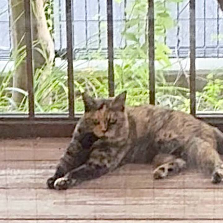 D7415065 89e2 44da 9c42 920c8e9151cf 1757153734598